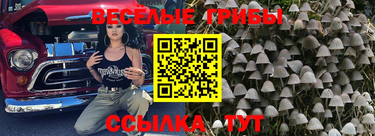МЕФ Печора