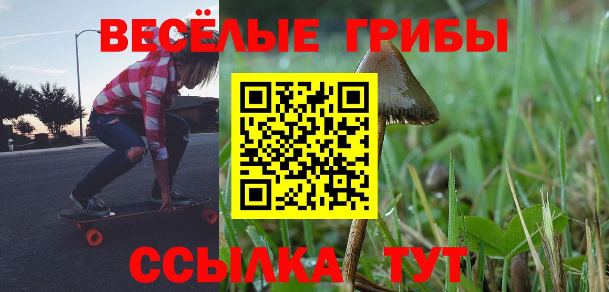Галлюциногенные грибы Cubensis  Псилоцибиновые грибы ЛСД  Печора  Вход с VPN 